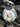 Large Kodiak Bear Magnet