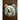 3 Inch wide round magnet with photo of face of actual Kodiak Bear with the wording Kodiak, Alaska on the bottom.